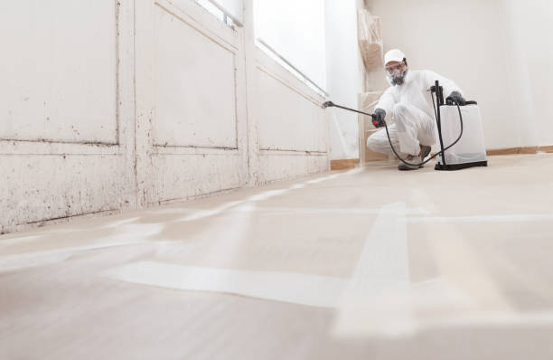 24/7 Emergency Mold Inspection experts in Nashville, NC