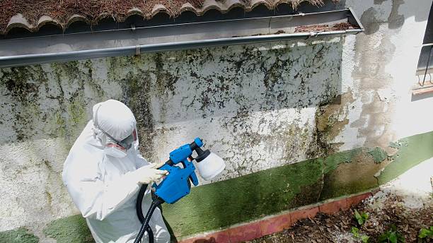 Trusted Mold Inspection service in Nashville, NC - Cheap Mold Removal